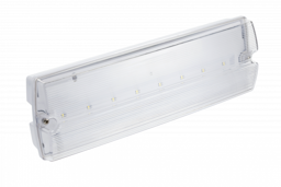 Notleuchte TERNO-1 LED,3W,250lm,AC220-240V,50-60Hz,IP65,1h,6400K,zweifunktional, TEST-Taste